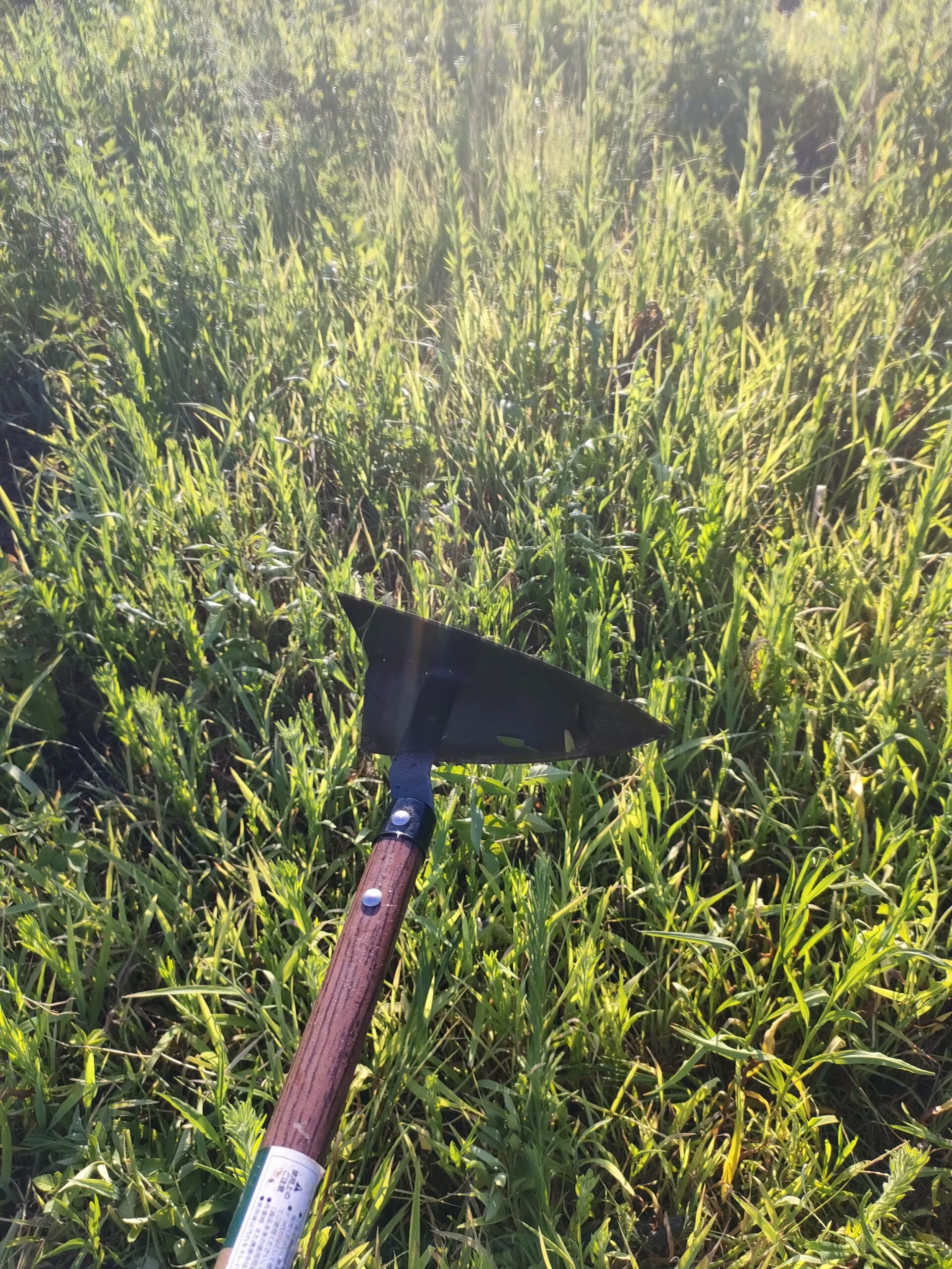 草刈りに大活躍の三角ホー