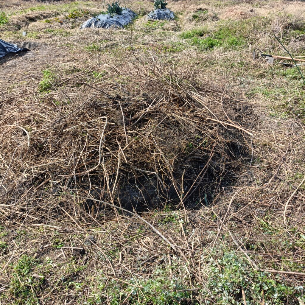草を積んで作る草畝