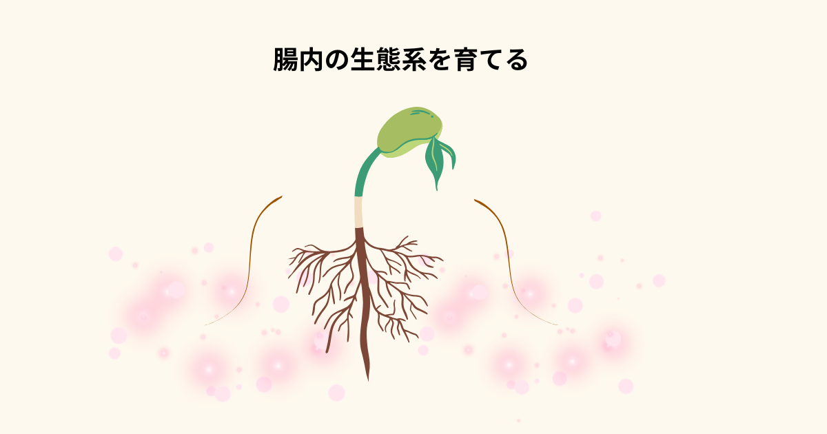腸の中には微生物の生態系がある