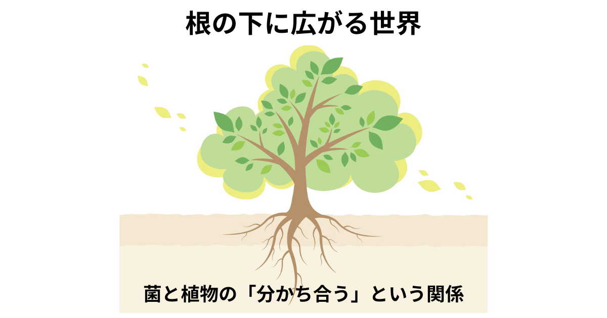 植物の根と微生物の分かち合いの世界